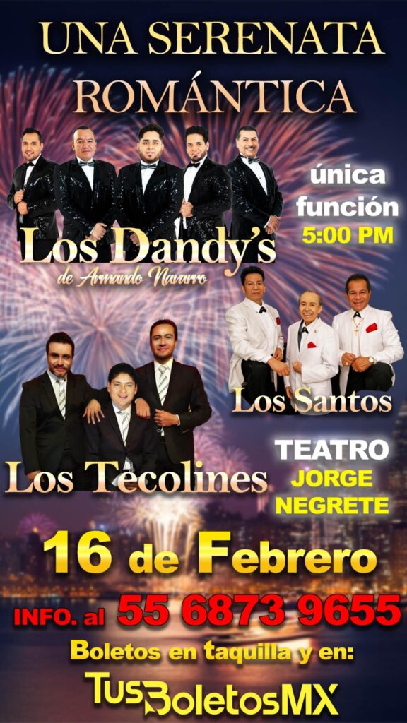 Mila Studio. publicidad digital y marketing para negocios